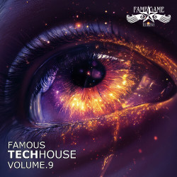 Famous Techhouse, Vol. 9  