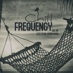 Chill Frequency, Vol.06  