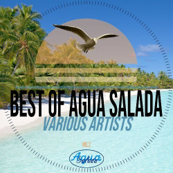 Best of Agua Salada Records Vol. 2  