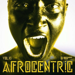Afrocentric, Vol. 16  