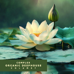 Complex Organic Deephouse, Vol. 7  