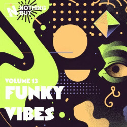 Nothing But... Funky Vibes, Vol. 13  