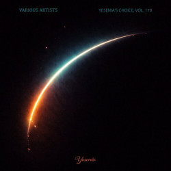 Yesenia's Choice, Vol. 170  