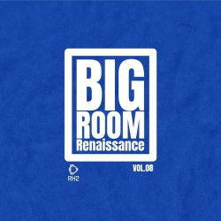 Big Room Renaissance, Vol. 8  