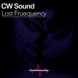 Lost Frequency