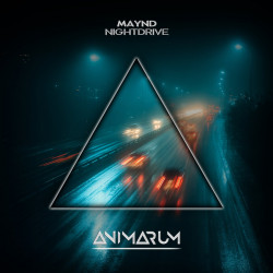 Nightdrive