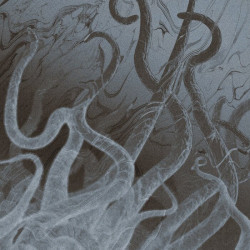 Sirens