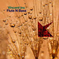 Flute N Bass