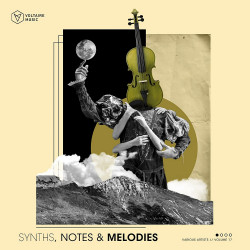 Synths, Notes & Melodies Vol. 17