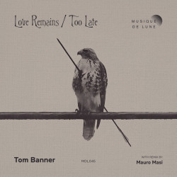 Love Remains / Too Late