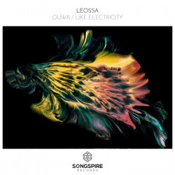 Ouwa / Like Electricity