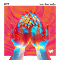 Never Could Let Go