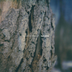 Kaizen