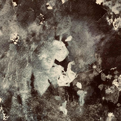 A Walk in The Concrete Field EP