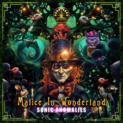 Sonic Anomalies