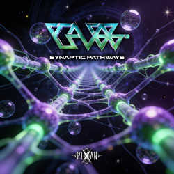 Synapthic Pathways