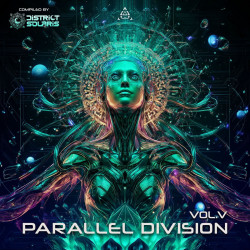 Parallel Division Vol. 5