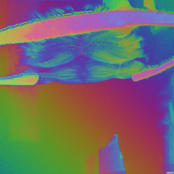 Mi Pez Murio Anoche [Remixed]