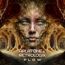 Flow