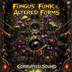 Corrupted Sound