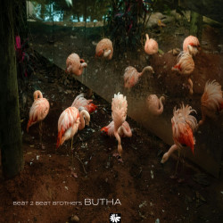 Butha