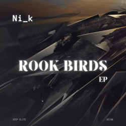 Rook Birds