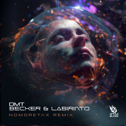 DMT (Nomoretax Remix)