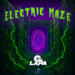 Electric Maze