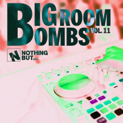 Nothing But... Big Room Bombs, Vol. 11  
