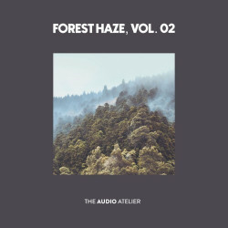 Forest Haze, Vol. 2  