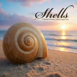 Shells (15 Selected Downtempo, Chillout & Lounge Tracks)  