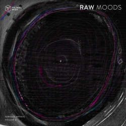 Raw Moods, Vol. 4  