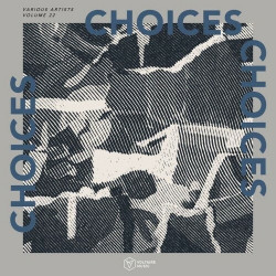 Voltaire Music Pres. Choices, Vol. 22  
