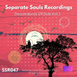 Descendants Of Dub, Vol. 3  