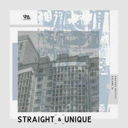 Straight & Unique, Vol. 14  