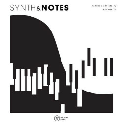 Synths & Notes, Vol. 10  