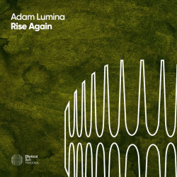Rise Again