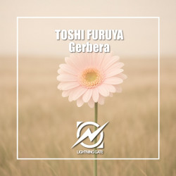 Gerbera