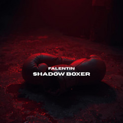 SHADOW BOXER