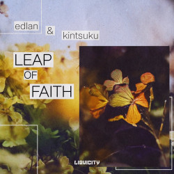 Leap of Faith