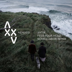 Feed Your Head (Schalllabor Remix)