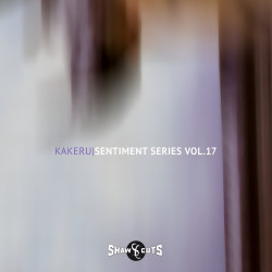 Sentiment Series Vol.17