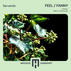 Fanny / Feel
