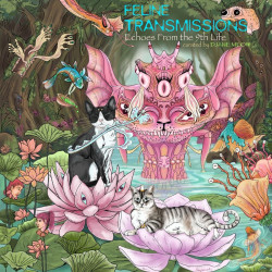 Feline Transmissions: Echoes from the 9th Life