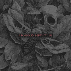 A Forbidden Depth To Us