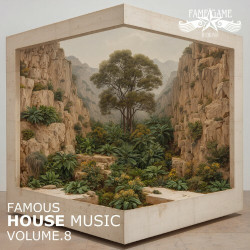 Famous House Music, Vol. 8  