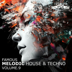 Famous Melodic House and Techno, Vol. 9  