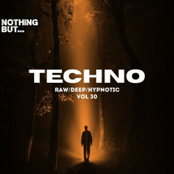 Nothing But. Techno (Raw/Deep/Hypnotic), Vol. 30  