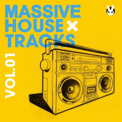 Massive House Tracks, Vol. 01  