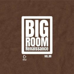 Big Room Renaissance, Vol. 9  